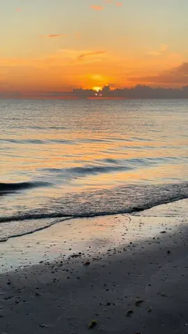 The world’s a mess. Here’s 2 minutes of peace. Take a breath — you deserve it. Let me know if you needed this today. 💛 #SunsetVibes #MomentOfCalm #PeacefulTikTok #MentalHealthMatters #NatureIsHealing #QuietMoments #FYP #SoothingSounds #JustBreathe #SerenityNow #GoldenHour #FloridaSunset