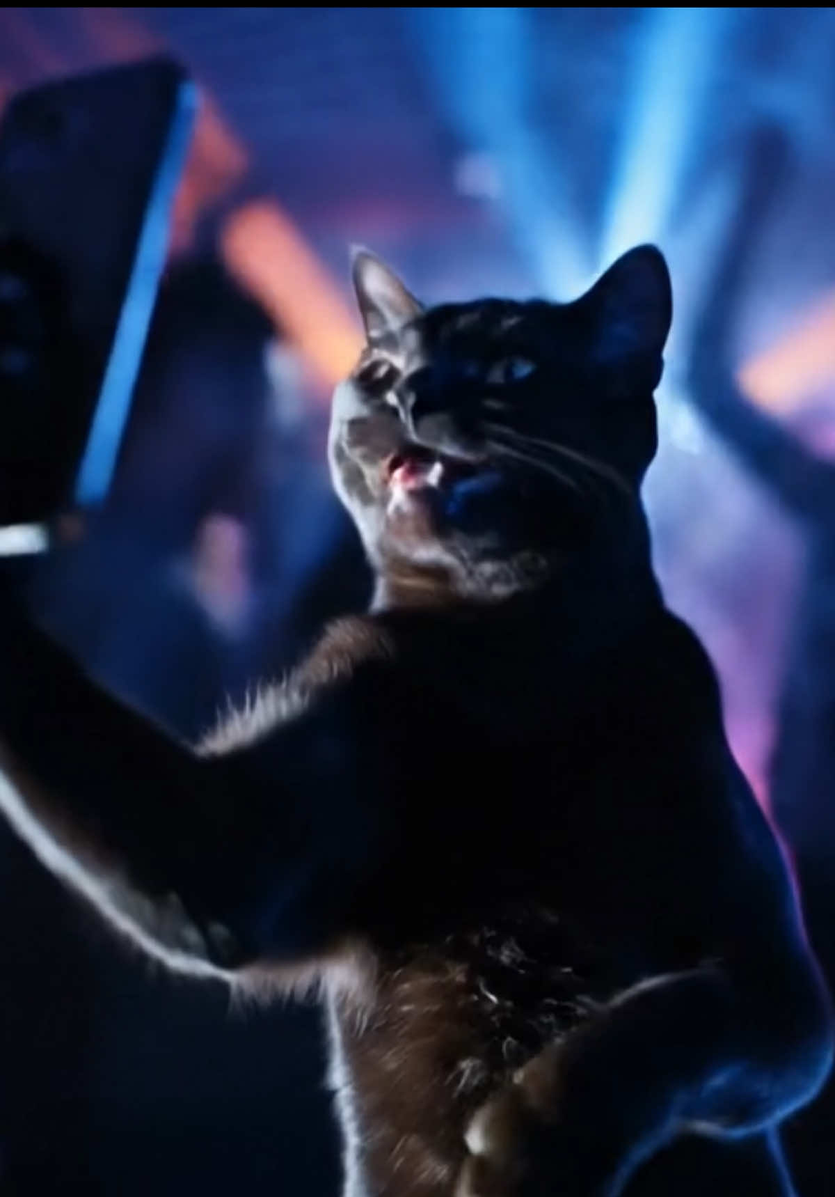 Selfies at the function 🤳🏽🐈‍⬛ #dancing #booboo #selfies #sunday #party #lit #fyp #booboosoocrispy #blackcatsoftiktok #BlackTikTok #viral #catsoftiktiok #cattok #dancingcat #void 