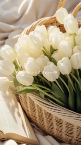 الحمد لله حمدا يليق بجلاله وكماله  الحمد لله قولا وفعلا ورضا الحمد لله دائما وأبدا  الحمد لله حمدا كثيرا طيبا تستديم به النعم#الحمدلله_دائماً_وابداً #الحمدالله_علی_کل_حال❤ #استبشروا_خيرا_فلنا_رب_كريم♥️ #دعاء #tiktoklongs #foryoupage 