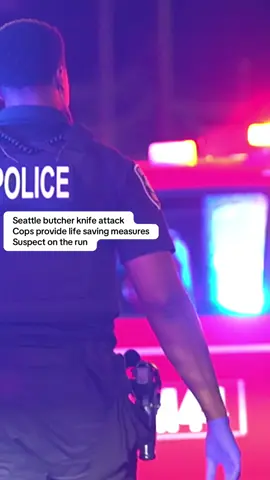 Seattle police are investigating a stabbing early Sunday that left a 58-year-old woman seriously injured in the Yesler Terrace neighborhood. At 12:56 a.m., officers responded to a reported of a stabbing at an apartment in the 1100 block of Fir Street. A neighbor called 911 after the victim arrived at their door with multiple stab wounds. Police found the woman on the third floor of the complex with stab wounds to her neck, face, arm, and leg. Officers provided medical aid until Seattle Fire Department (SFD) medics arrived and took over lifesaving efforts. SFD transported her to Harborview Medical Center in serious condition. Police determined the victim was awakened by an unprovoked attack inside her apartment by her 33-year-old daughter. She was also stabbed with a butcher knife in the complex hallway during the domestic violence incident. The suspect fled the scene before officers arrived. Officers searched the area with the assistance of Real Time Crime Center personnel but did not locate the suspect. Domestic Violence Unit detectives are handling the investigation and working to determine what led to the assault. Anyone with information is asked to call the SPD Violent Crimes Tip Line at 206-233-5000 Incident Number 2025-180390/East Precinct/G1 #info #news #truecrime #truecrime 