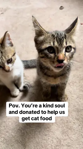 Pov. You’re a kind soul anf donated to help us get cat food 