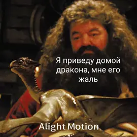 Мой главный кинн. #harrypotter #hagrid #rubeushagrid #hippogriff #dragon #fyp #foryoupage 