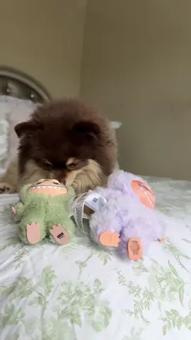 Is this a Lafufu or Labubu??😭Part 3?!💔 #labubu #toy #suprise #puppy 