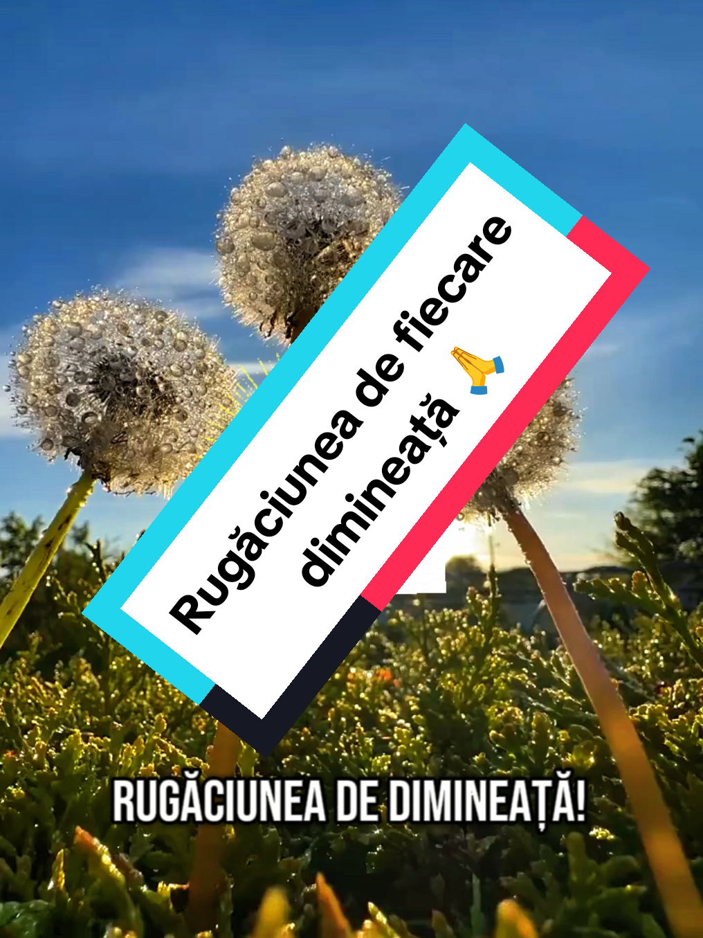 Rugăciunea de fiecare dimineață! #DUMNEZEU #rugăciune #credință #răbdare #viața #dimineața #edumagicromania #fyp 