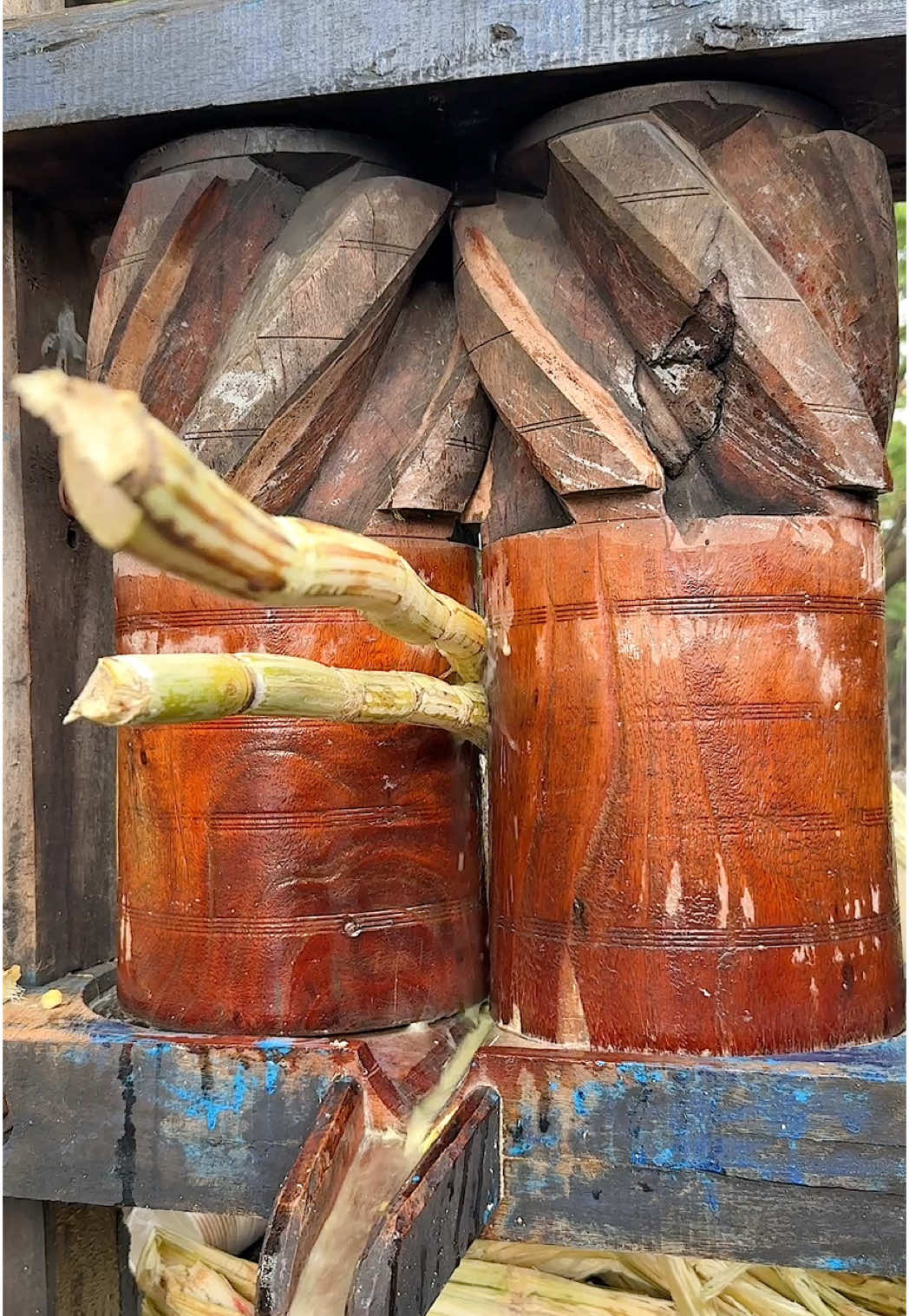 India’s Ancient Method for Fresh Sugarcane Juice 📍Pune in India  #sugarcane #indianstreetfood