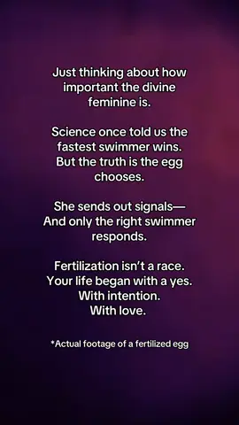 The egg #divinefeminine #spirituality #women #durgama #kalima #mothermary #fyp #5d #newearth 