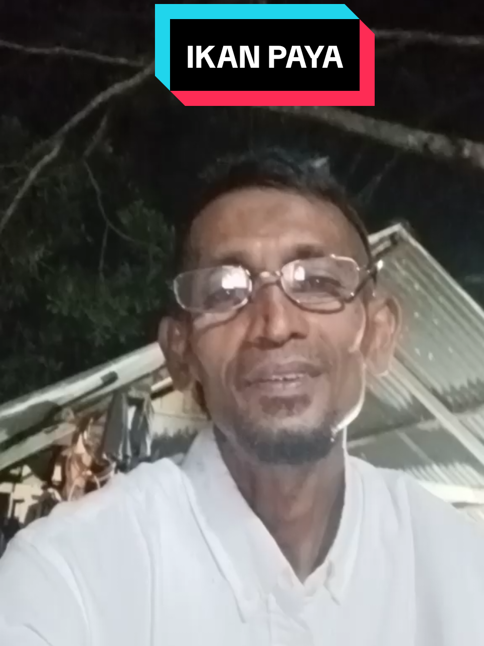 IKAN PAYA,di daerah kami disini  sngat banyak apalagi diareal persawahan.#BANG Ady#Aktifitas sehari hari#petani #banyak 