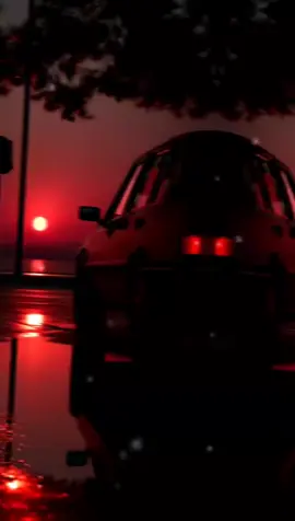 🎼❤️🎼
