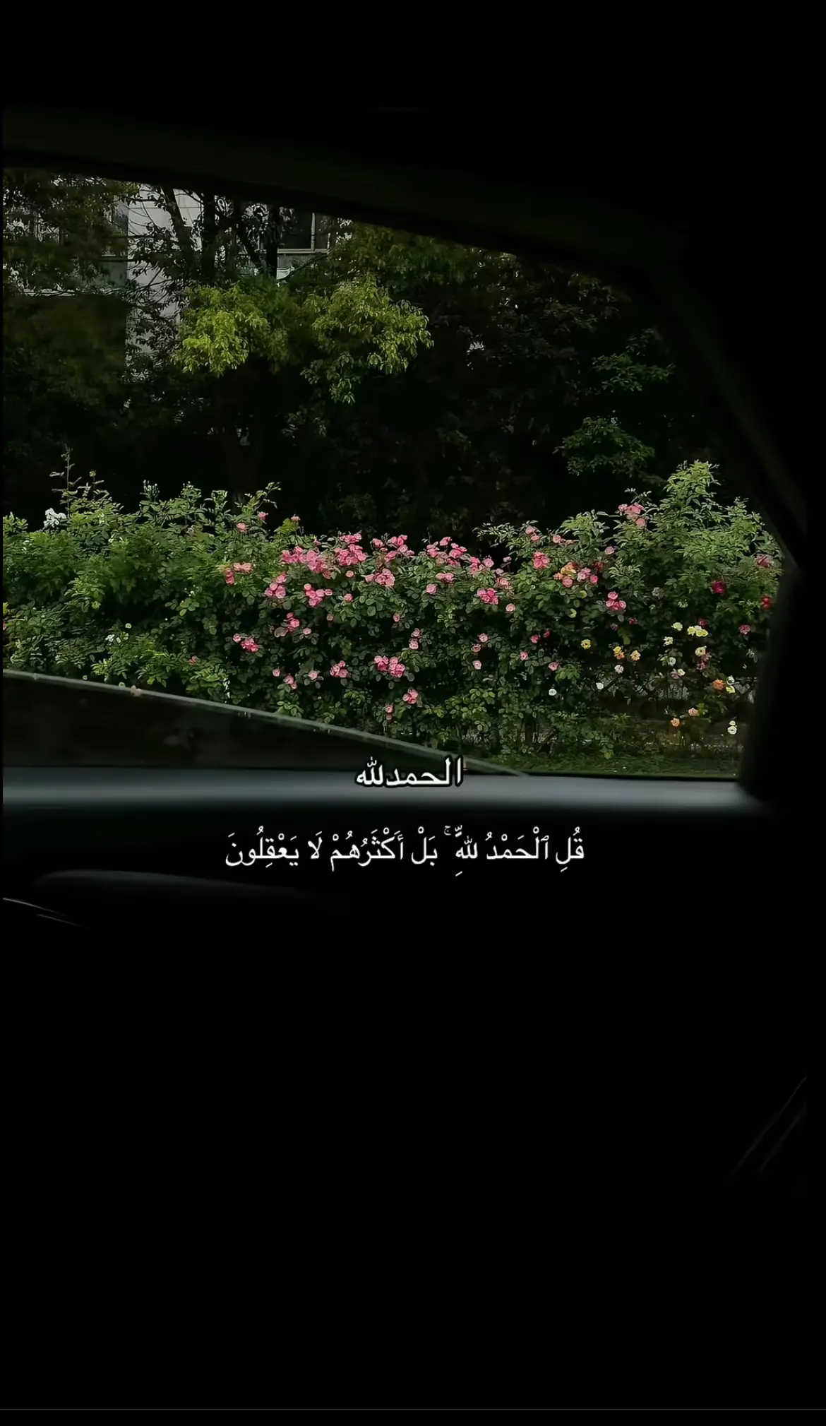 #دعواتكم_برحمه_لفقيدي #قران_كريم #قران #دعاء #تذكير #اذكروا_الله #اكسبلورexplore #اكسبلوررر 