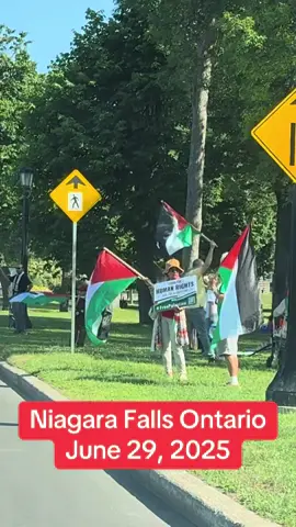 #niagarafalls #ontario #canada #freepalestine #fyp