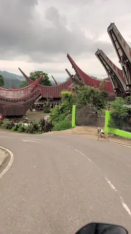 Anak Toraja pasti tau jalan ini…. Skuyyyyy di story🔥#torajanese #torajamaelo #beranda #fyp 