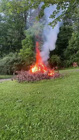 Sunday evening bonfire 