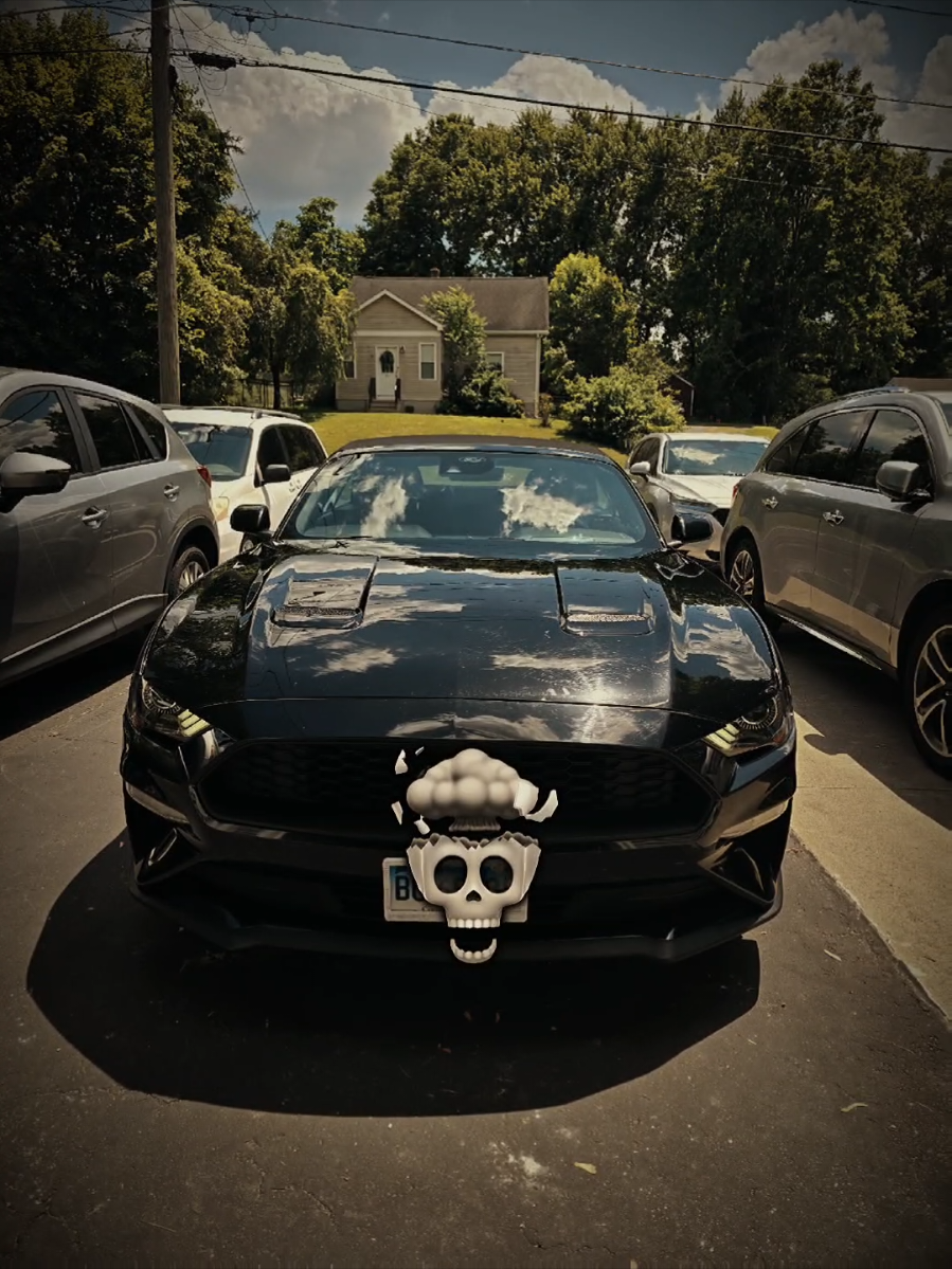Fina Lana LaLaLaLa 🐎🇺🇸 . . #fastandfurious #terminator #dontflop #blowthisup #edits #cars #caredits #cartemplate #capcut #edits #americancars #fordmustang #mustanggt #gt350 #gt500 #shelby #venom #capcutedit 