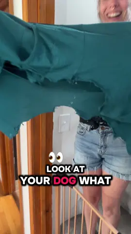 This is not the first time she’s done this either! #dogsoftiktok 