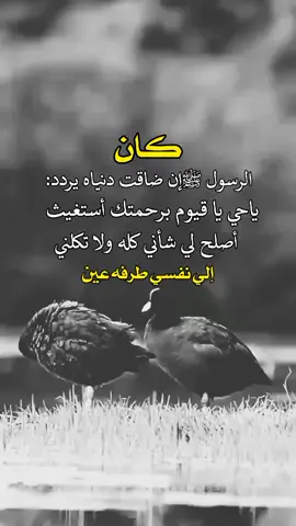 #اكسبلور #explore #تصميم_فيديوهات🎶🎤🎬 