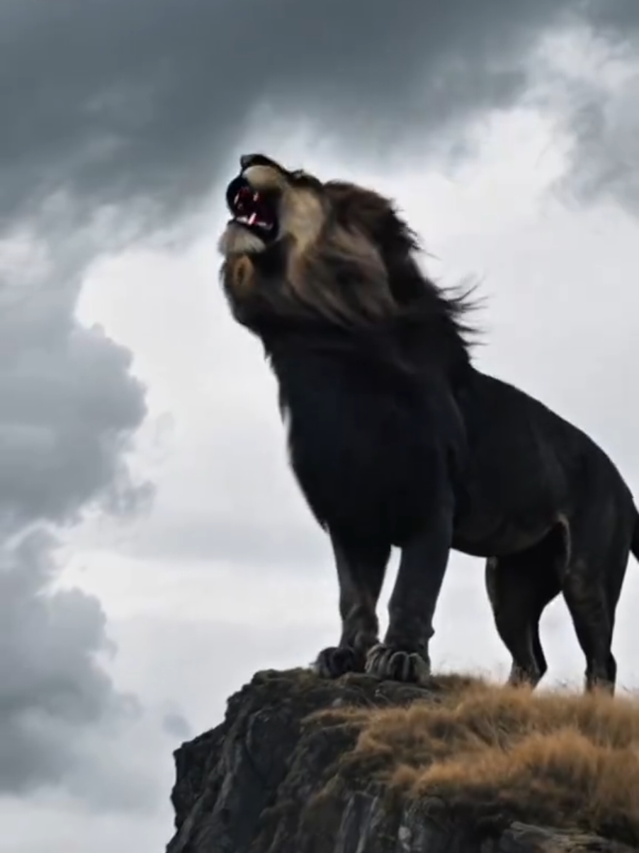 The Lion King #beast #foryou #ai #tiktok #foryoupage #majidreel #fypシ゚ #wildanimals #lion 