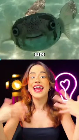 como um peixe dorme?