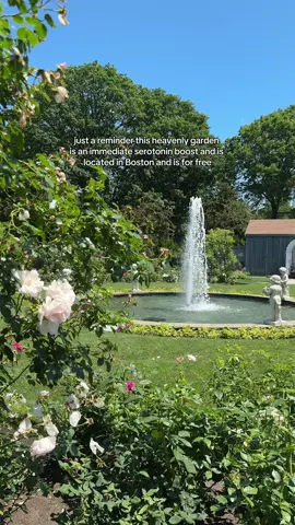 it’s so stunning #boston #garden 
