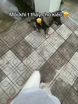 is là bị cute chứ có í gì đâuuu🥲🥲