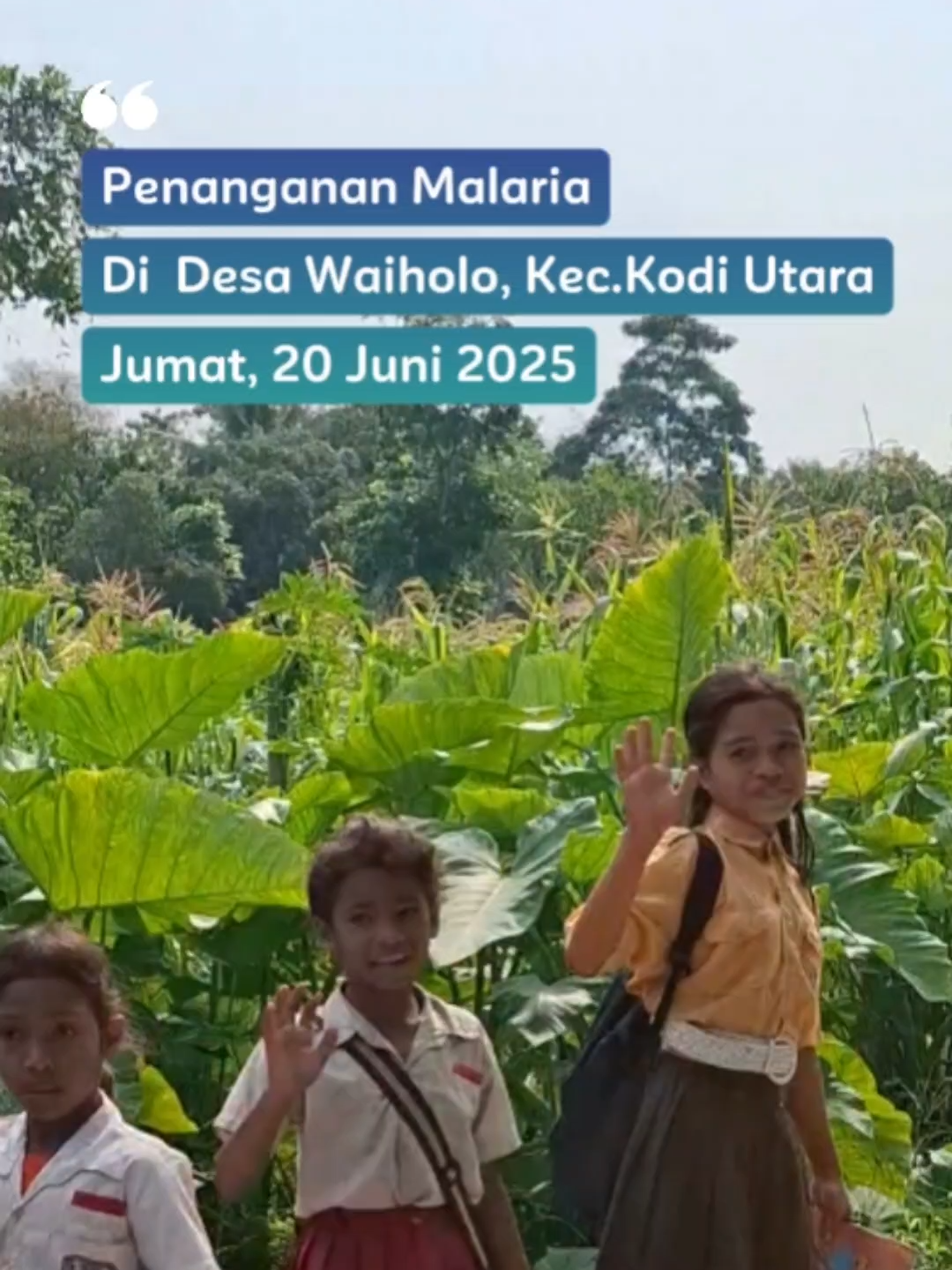 Waiholo, 20 Juni 2025 Giat penanggulangan malaria bersama tim lintas sektor yang dipimpin oleh Camat Kodi Utara beserta anggota Polsek Kodi utara, aparat desa Waiholo, Kabid P2P Dinkes Sumba Barat Daya, Kepala Puskesmas Kori dan tim malaria Puskesmas kori, kader JMD, serta tim malaria Dinas Kesehatan Kabupaten Sumba Barat Daya bersama warga desa Waiholo. Adapun upaya dilakukan adalah melakukan pemeriksaan darah massal, pengecekan penggunaan kelambu berinsektisida, dan penaburan larvasida di tempat-tempat yang berpotensi menjadi tempat perindukan jentik nyamuk anopheles serta Aksi bersih lingkungan. Kegiatan ini adalah bagian dari wujud nyata komitmen dan kerja kolaborasi untuk mencegah penularan malaria sejak dini.  Lingkungan yang bersih, penggunaan kelambu berinsektisida saat tidur, serta menutup atau mengalirkan genangan air, dapat mencegah penularan malaria. Salam Eliminasi Malaria!  #malaria#malariaawareness #lawanmalaria #bebasmalaria #SapuPlasmodium #kodi #kodiutara #EliminasiMalaria2030 #sumbabaratdaya #fyppppppppppppppppppppppp #fypツ #ntt #kesehatan #kemenkes #sumba #fyp #berandatiktok #beranda #sumbababaratdaya #fypage #kolaborasi #sbdbebasmalaria #kerjasama #kabardinkes #eliminasimalaria #malaria