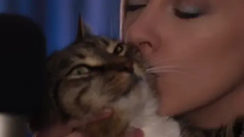 Meet my son Basil 😻 Full “ASMR Eyes Closed Instructions for Sleep” OUT NOW!  #asmr #purring #cat #asmrcat #asmrscratching #catmom #nz #aotearoa #newzealand #catpurring 