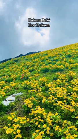 #east #rukum #hukam #nature #travel #namshaigo #bukiphool #monsoonvibes 