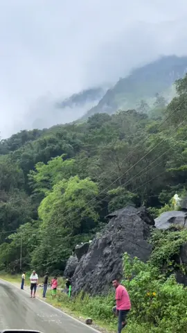 #fypシ #vibesSame🇹🇱 