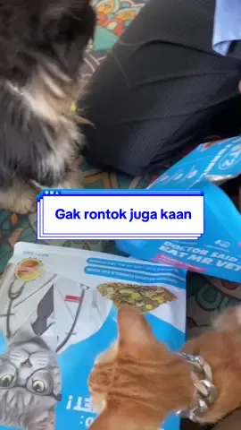Sekalian cek bulu mereka gak rontok