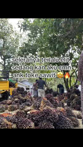 #fyppppppppppppppppppppppp #lewatberandafyp #anktokesawit🤑🤙 