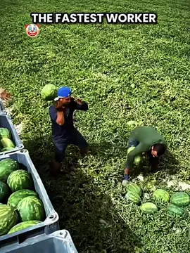 The fastest workers ? #trollface #foruyou #viralvideos 