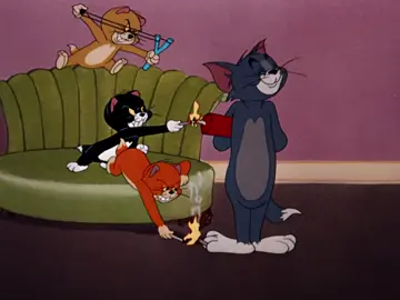 #childhoodaAnimation#tomandjerry#thecatandthemou  