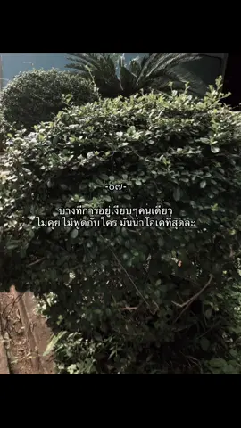 #เธรด #เธรดเศร้า #เธรดความรู้สึก #ยืมลงสตอรี่ได้ #ฟีดดดシ #อย่าปิดการมองเห็น #ฟีด #เศร้า #เบื่อชีวิต 