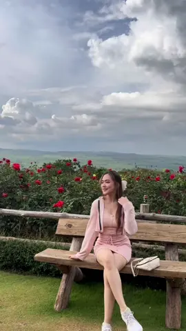ဘယ်နေရာလေးကြည့်ကြည့်လှ… 🏡💗🌾  #rosegarden #မေမြို့ #နှင်းဆီခြံ  