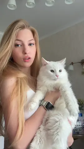С моей очаровательной и любимой🐒                                                                     #fyp💕 #blonde #girls #whitecat #cat #cute #белаякошечка #рекомендации 