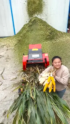 Crusher, multi-purpose, grass chopping, crushing, kneading,#TikTok #machine #machinery #crusher 