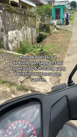 tarekkk #koprasimingguan #plecitganteng😎 #masukberandafyp #fypviralシviral 