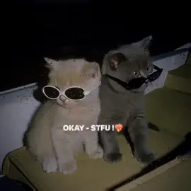 STFU - #stfu #whosmanan #foryoupage #aesthetic #fyp #viral #tiktok #trending #punjabisong 