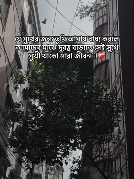 #foryou #tiktok যে সুখের জন্য তুমি আমায় বাধ্য করলে আমাদের মাঝে দূরত্ব বাড়াতে সেই সুখে সুখী থাকো সারা জীবন..!❤️‍🩹