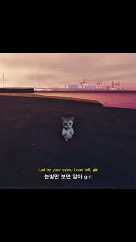 DPR LIVE - Martini Blue #dprlive #martiniblue #song #playlist #mood #rnb #마티니블루 #노래 #고양이 #감성힙합 