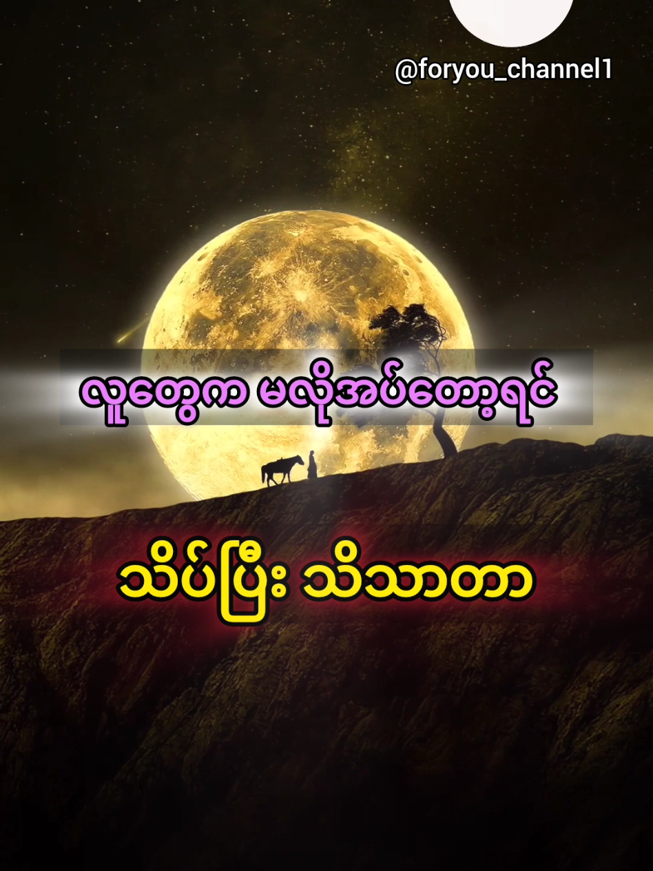 လူတွေက သူတို့မလိုအပ်တော့ရင် သိပ်သိသာတယ်❤️‍🔥 #motivation #knowledge #sharing #foryou #fyp 