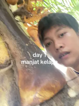 day 1 aja dh bisa manjat #day1 #manjat #kelapa #fypシ #trend 