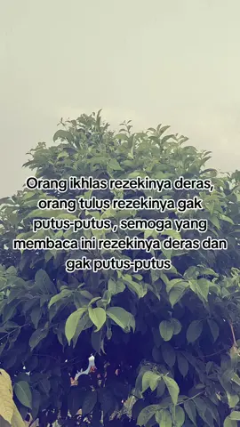 Aamiin Ya Allah... semoga kita diberikan keberkahan yang melimpah
