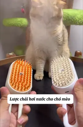 Chải mà như đi spa! ✨ Lược hơi nước – vừa gỡ rối, vừa mượt lông, boss mê tít luôn 🐶🐱 #luocchaiso #petspa #chomeodep #luocchaihoinuocchomeo #xuhuong  @Happy.Pets  @Happy.Pets  @Happy.Pets 