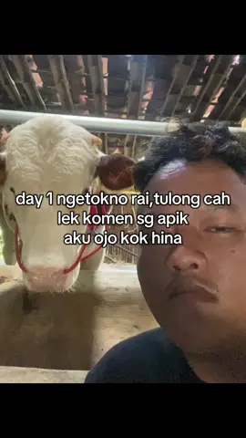 tulung #fyp #fouryou #xyzbca #f #4u #masukberandafyp 