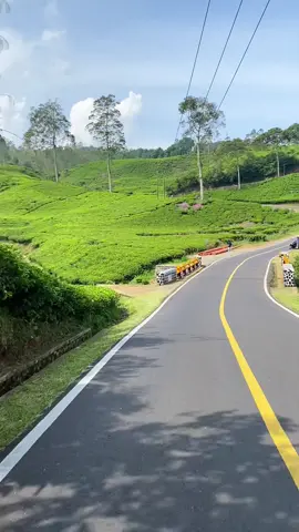 Jalan Cibuni Rancabali 🍃 #rancabaliciwidey #ciwidey #cibuniciwidey #bandunghits #fypシ゚ 