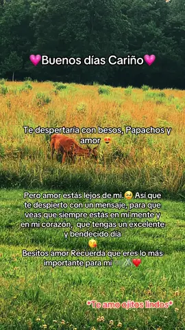 #buenosdias #hermosodia🌞 #bendiciones #diostebendiga🙏❤ #graciasdios #tupoetaromantico🎧❤️ #alabanzas_cristianas #amen🙏 #gloriaadios 