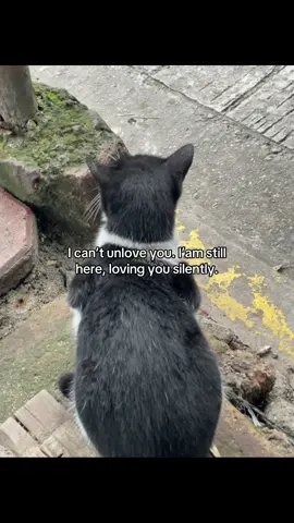 Ikaw at ikaw parin talaga. At gaya ng sabi hinding hindi magbabago yun.
