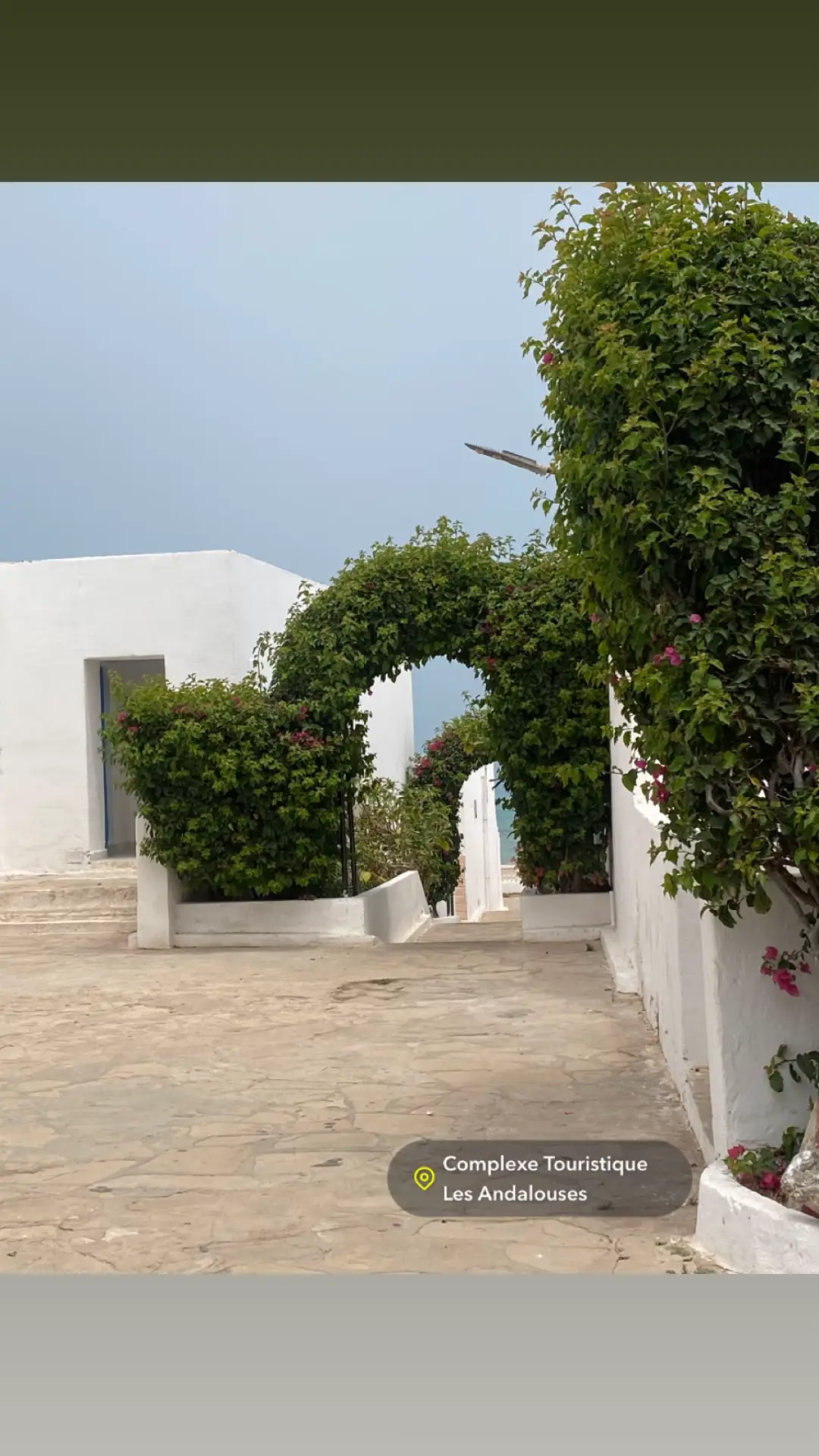 #Lifestyle #photography #lesandalouses #oran #fyp #algeria 