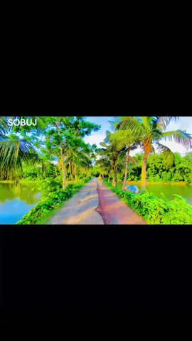 #tik_tok #viralvideo #f #bangladesh🇧🇩 #viral 