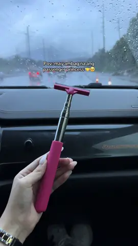 Pink, pretty, and functional rearview mirror wiper edition 🌷 stay clear, stay cute 🦢 #fyp #foryou #passengerprincess #caraccessories #wiper 